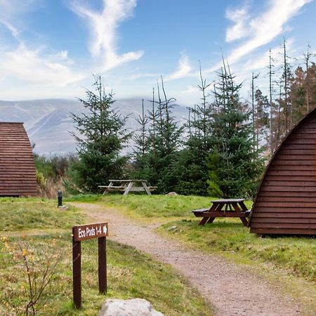 Badaguish Forest Lodges And Camping Pods Aviemore Exterior foto
