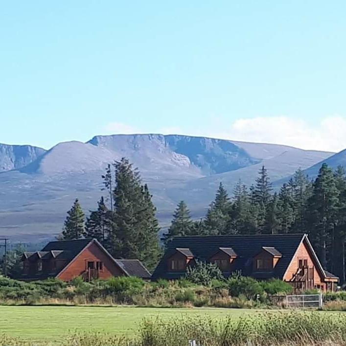 Badaguish Forest Lodges And Camping Pods Aviemore Exterior foto