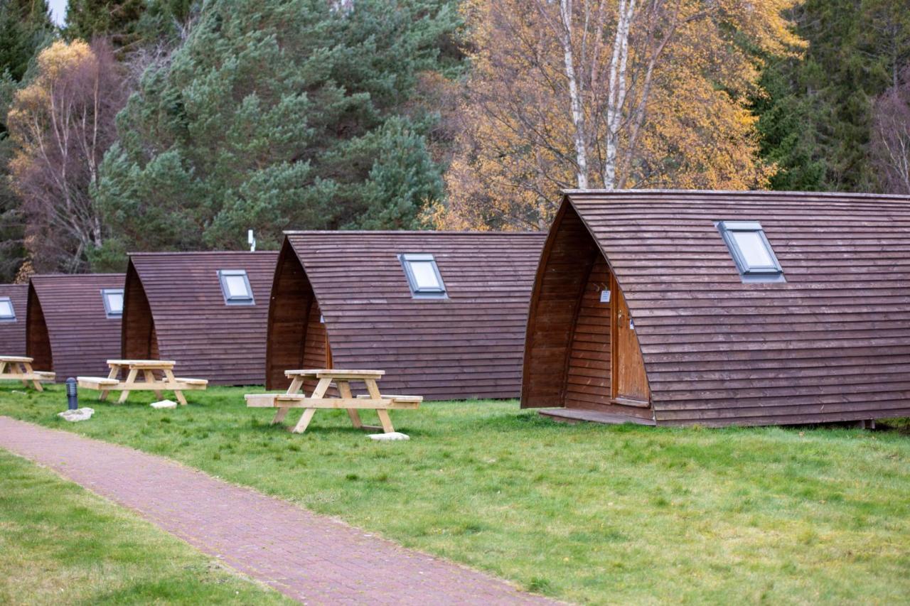 Badaguish Forest Lodges And Camping Pods Aviemore Exterior foto