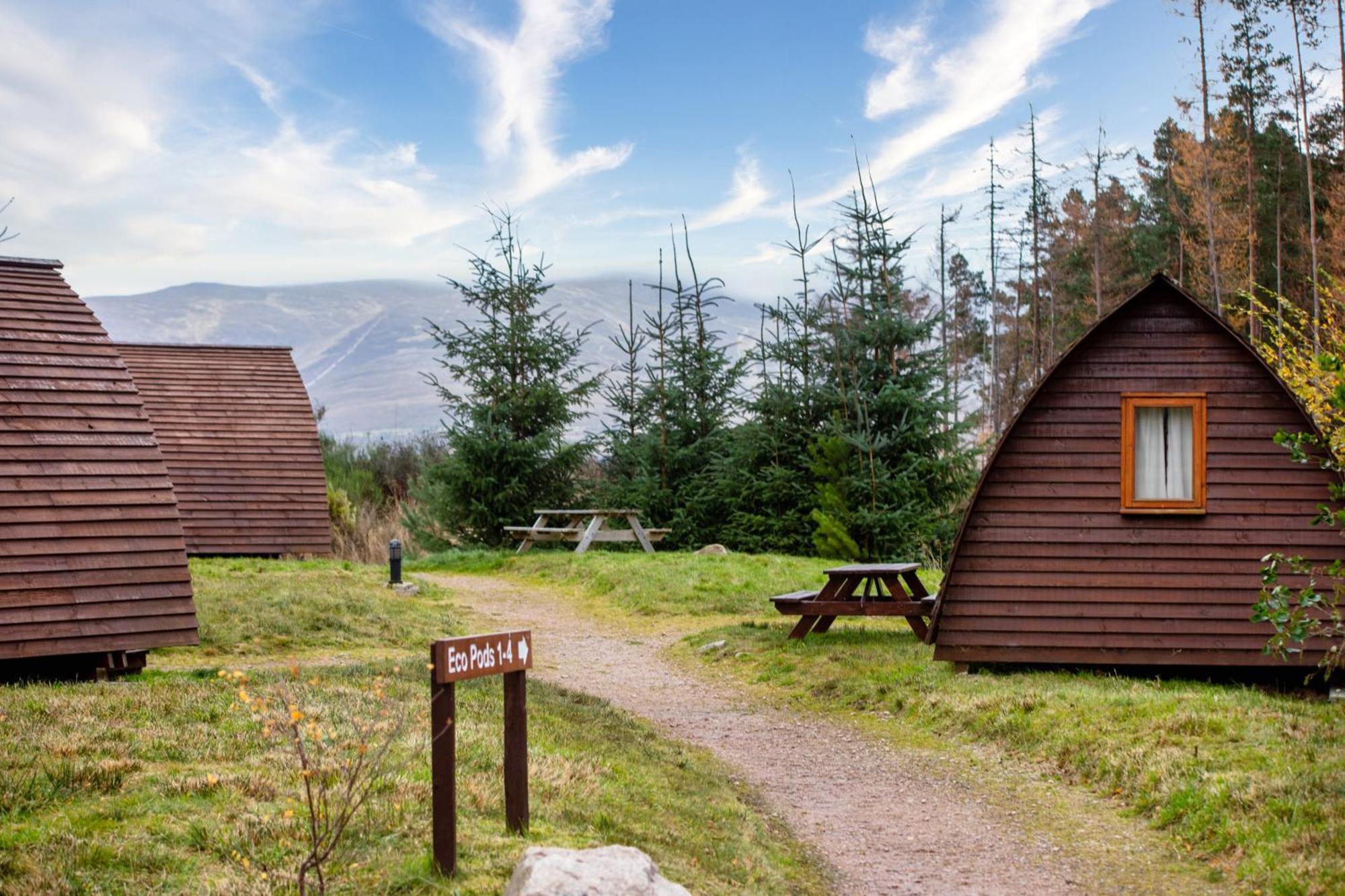 Badaguish Forest Lodges And Camping Pods Aviemore Exterior foto
