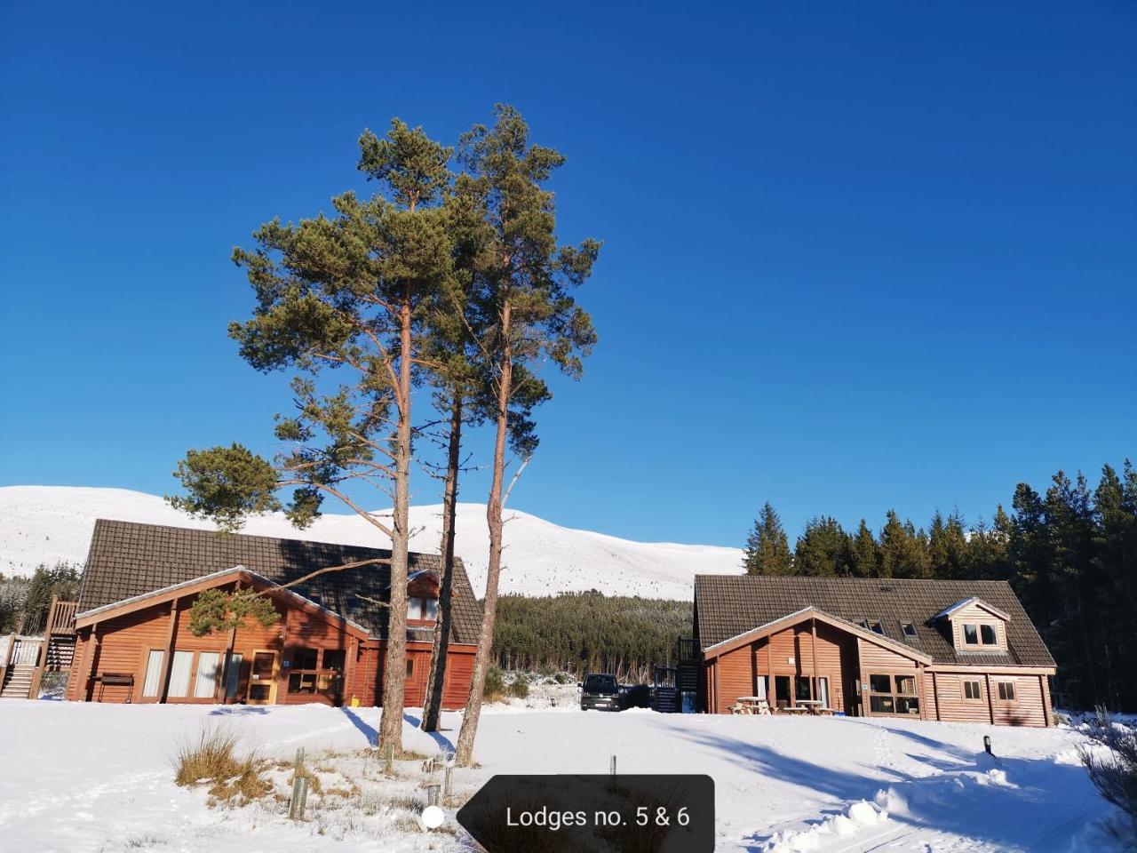 Badaguish Forest Lodges And Camping Pods Aviemore Exterior foto